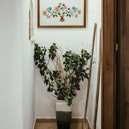 Casa Del Maestro Vila
